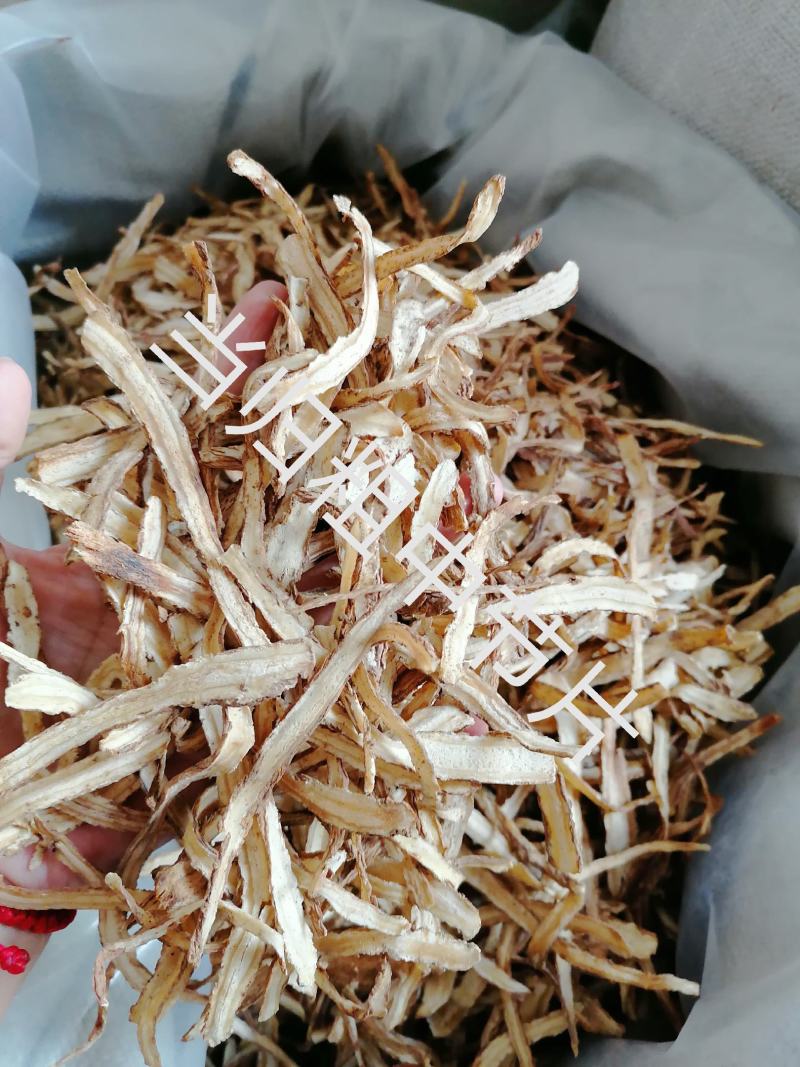 当归全归片中节片中药材甘肃批发零售各种规格中药材