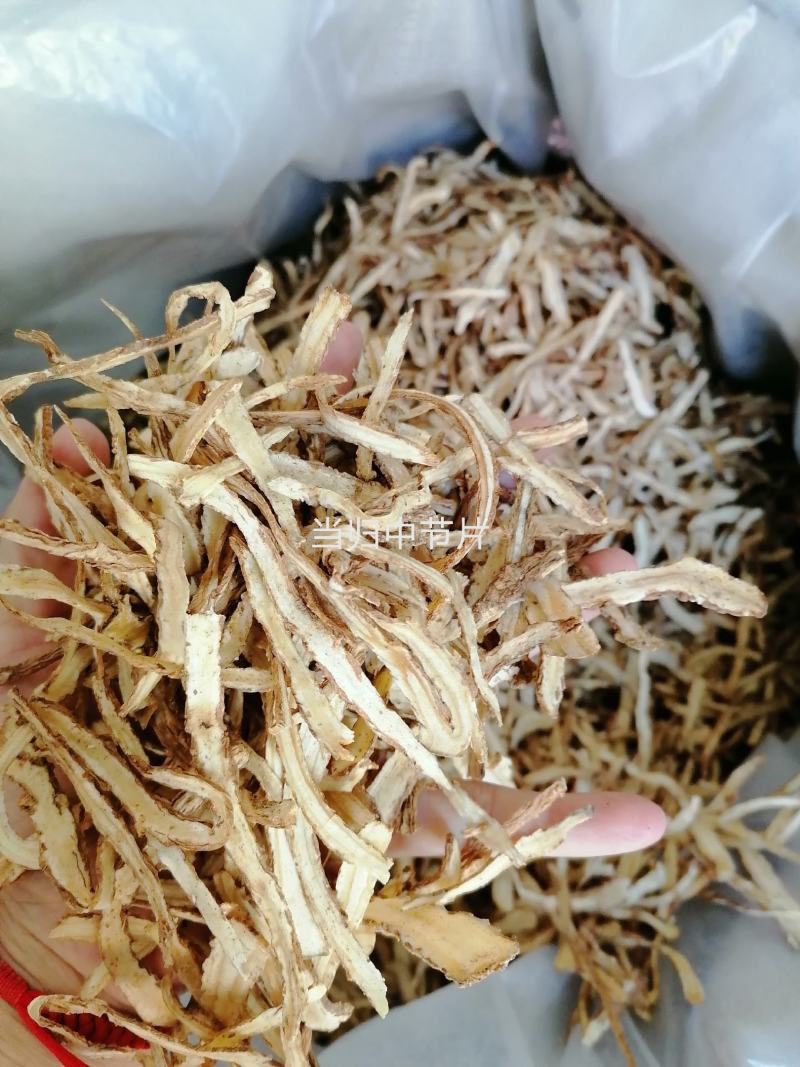 当归全归片中节片中药材甘肃批发零售各种规格中药材