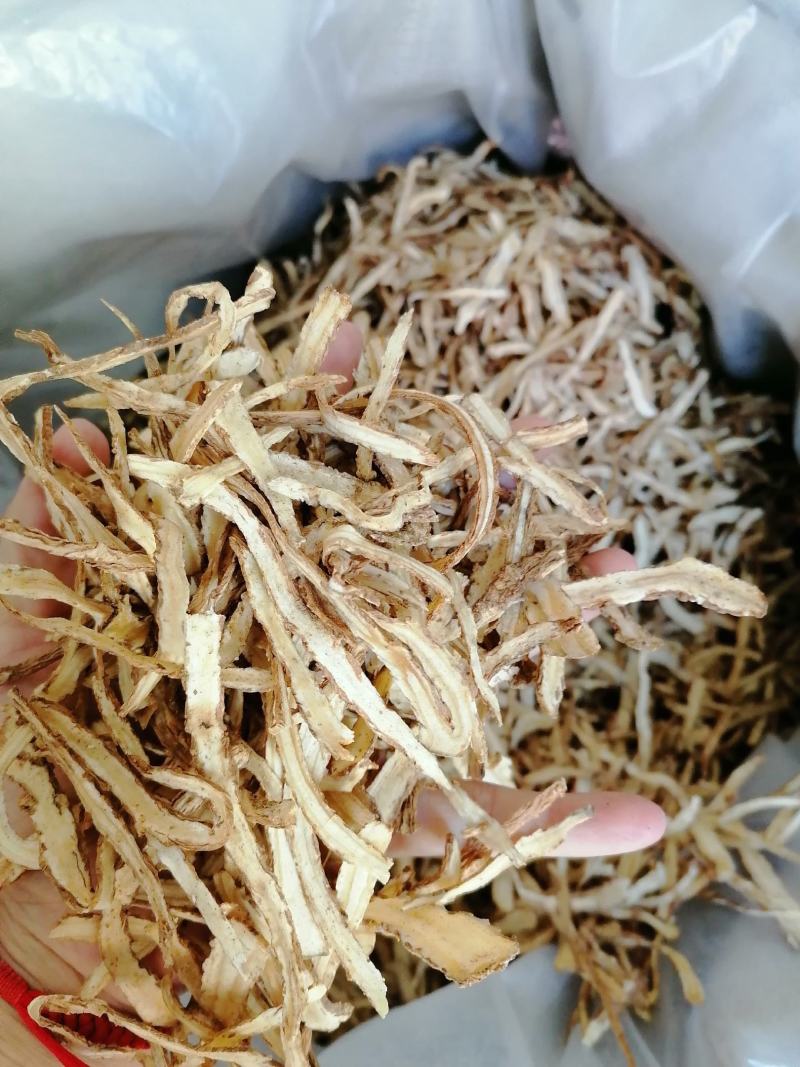 当归全归片中节片中药材甘肃批发零售各种规格中药材