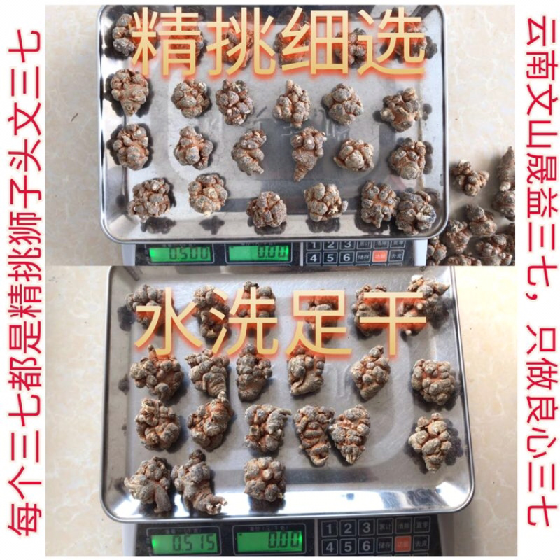 云南文山三七春三七30头带剪口三七和不带剪口三七量大从优
