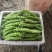 精品尖椒大量上市产地直供