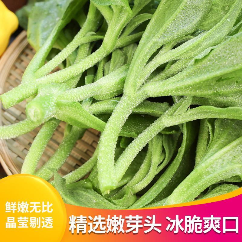 山东大叶冰菜，寿光市新鲜冰草，9月份大量上市