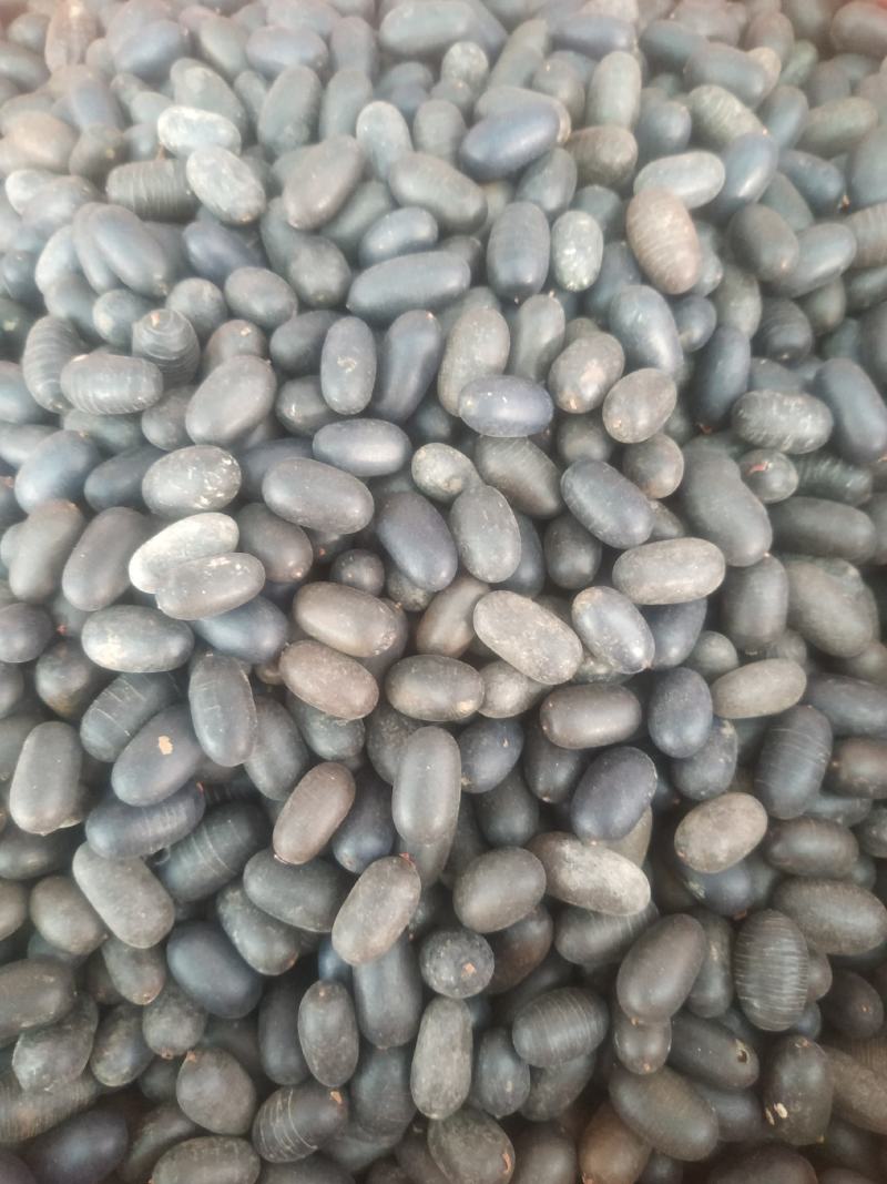 石莲子～量大优惠～1公斤起售～质量好欢迎咨询采购