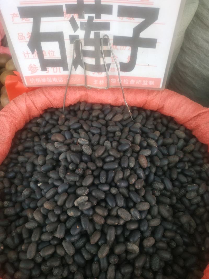 石莲子～量大优惠～1公斤起售～质量好欢迎咨询采购