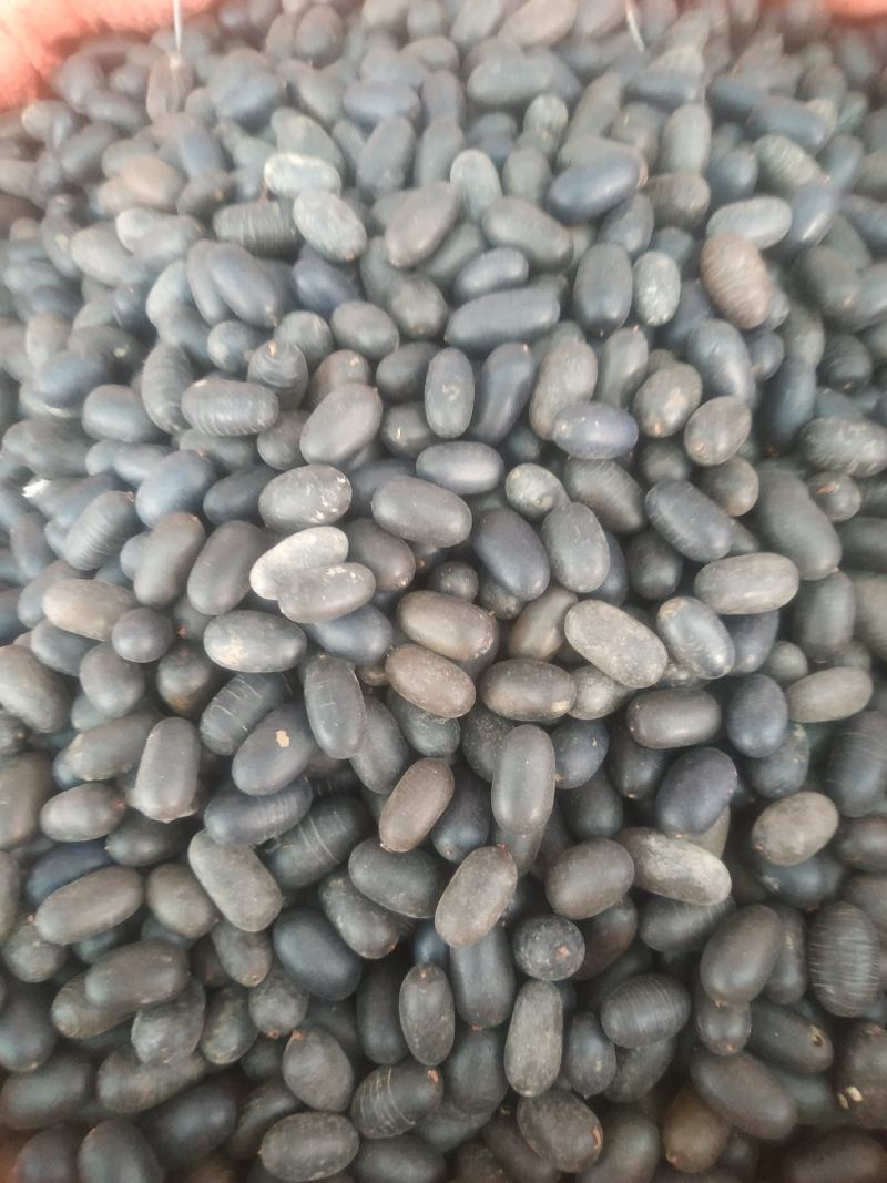 石莲子～量大优惠～1公斤起售～质量好欢迎咨询采购
