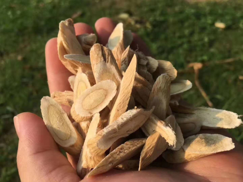 青海黄芪黄芪一身气兼有升阳小片中片大片特级黄芪片