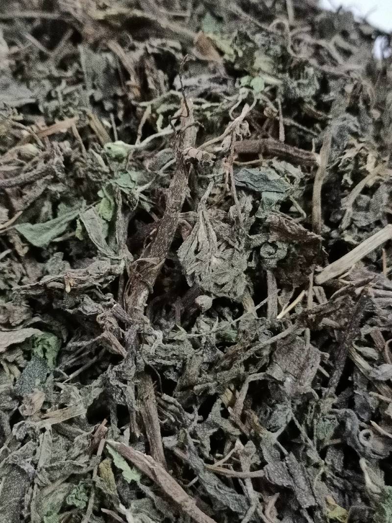 中药材旱莲草墨旱莲乌心草黑墨草5斤起包邮