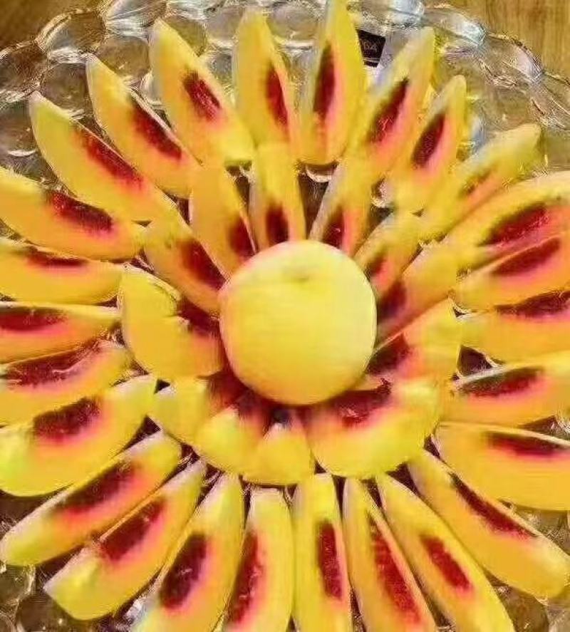 湖南桂东高山黄桃/锦绣黄桃/湖南炎陵黄桃/精品包装包邮。