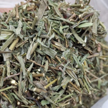 优质柴胡苗，颜色漂亮，量大从优