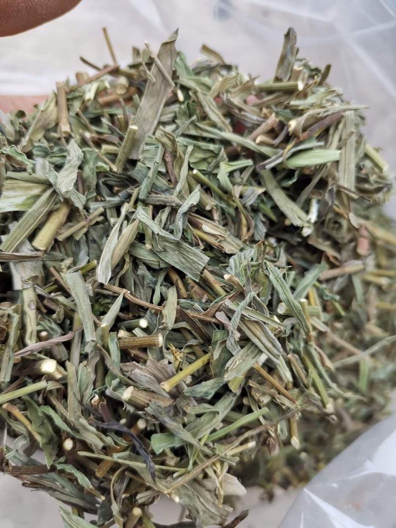 优质柴胡苗，颜色漂亮，量大从优