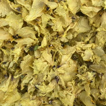 大量干黄秋葵花茶。欢迎选购。