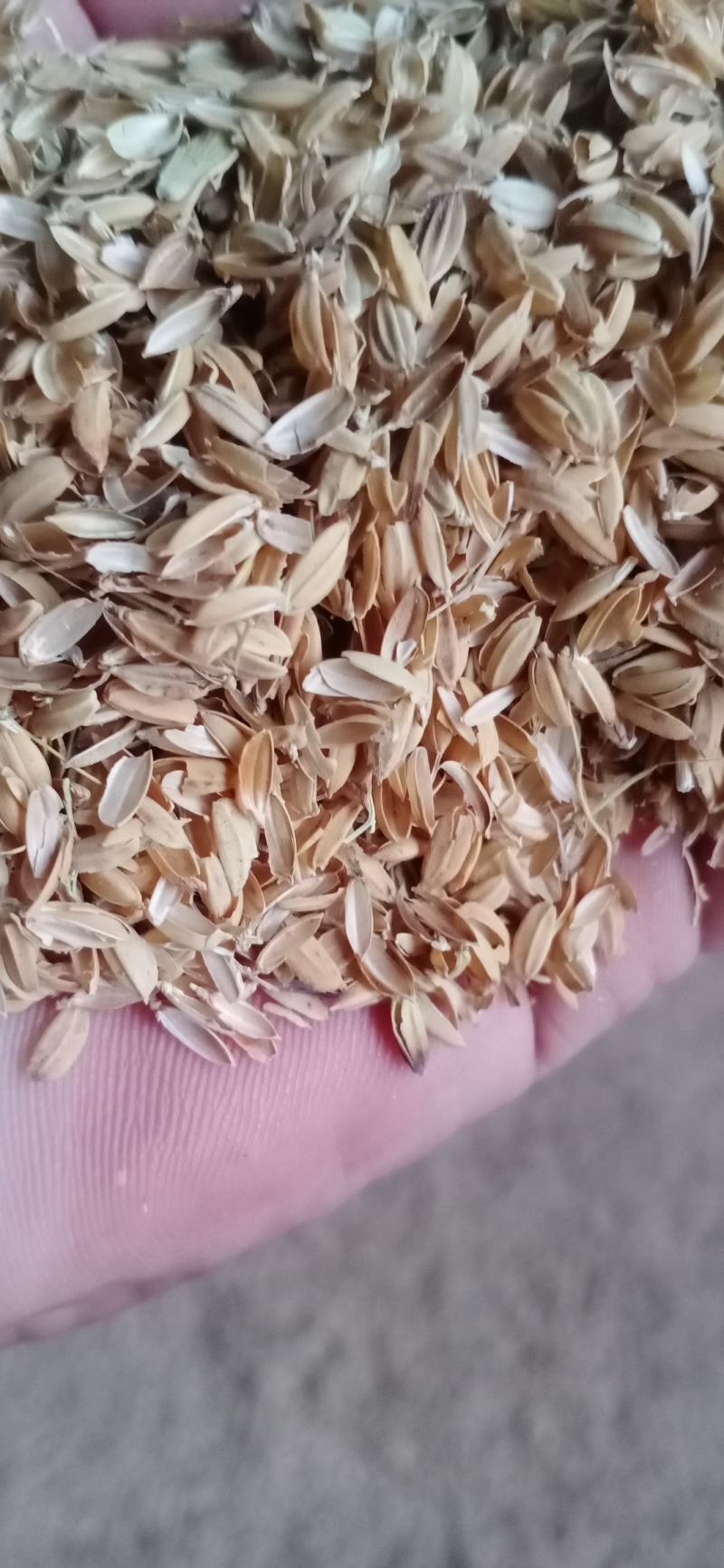 稻壳，圆粒稻壳厂家直销