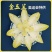 金玉兰菜芽球菊苣特菜野菜品质保证基地直供