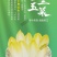 金玉兰菜芽球菊苣特菜野菜品质保证基地直供