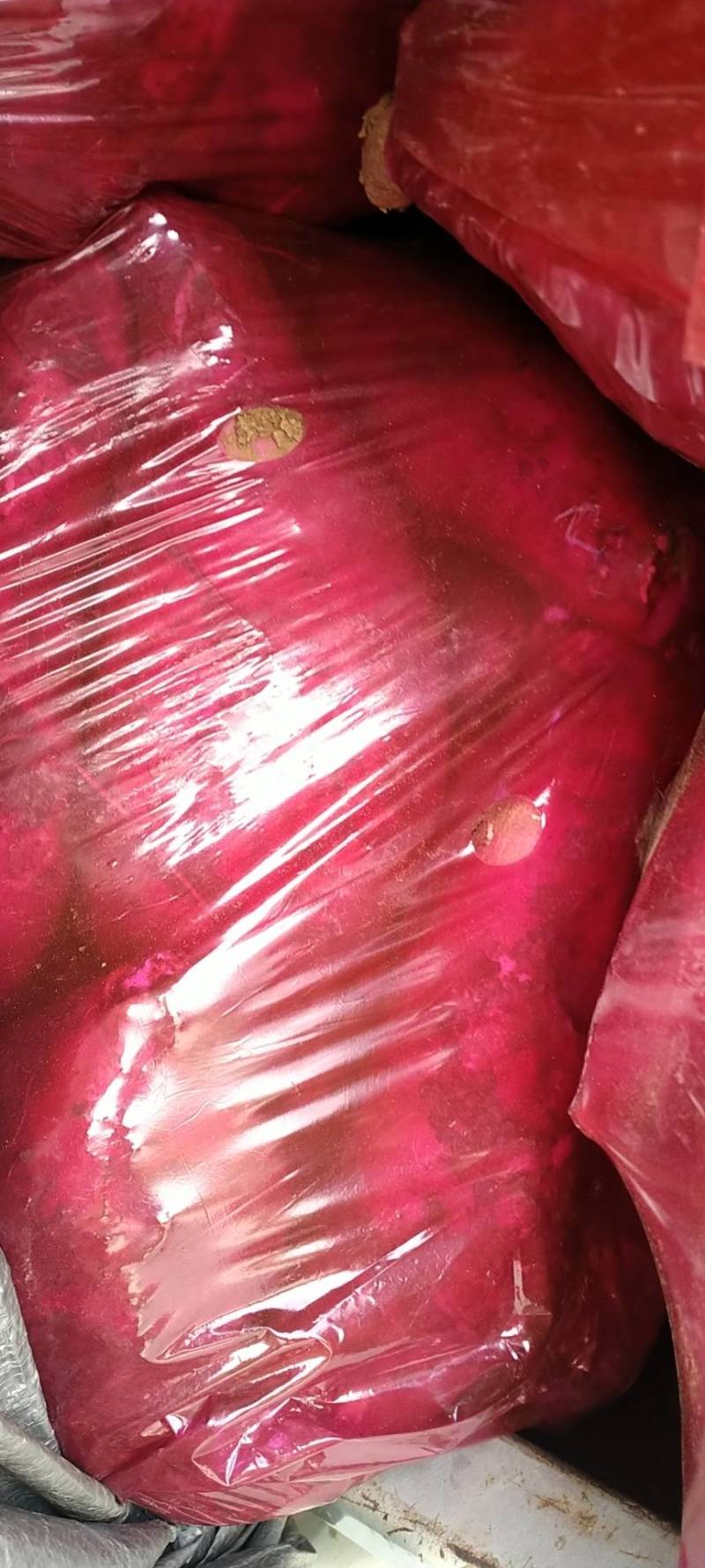 商十九红薯光色就是不一样