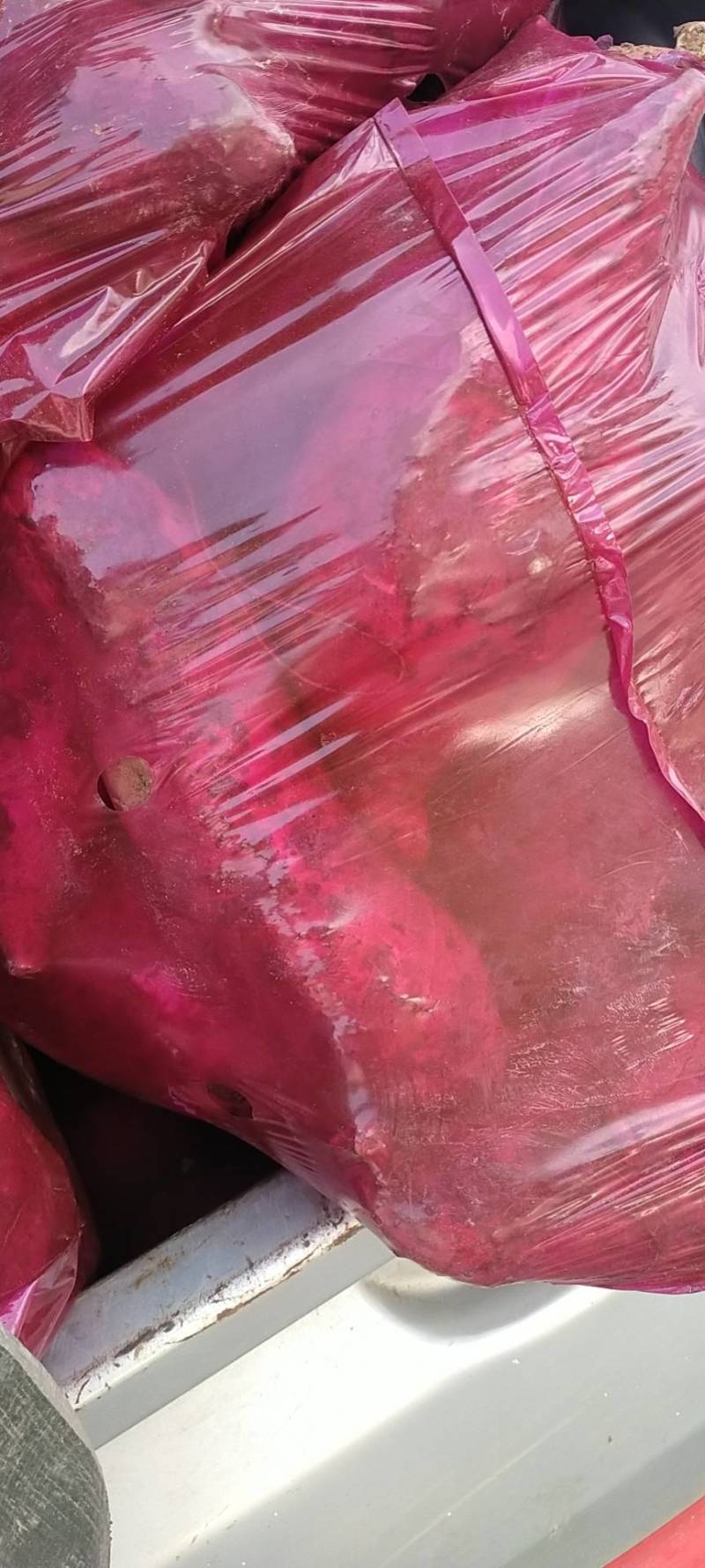 商十九红薯光色就是不一样