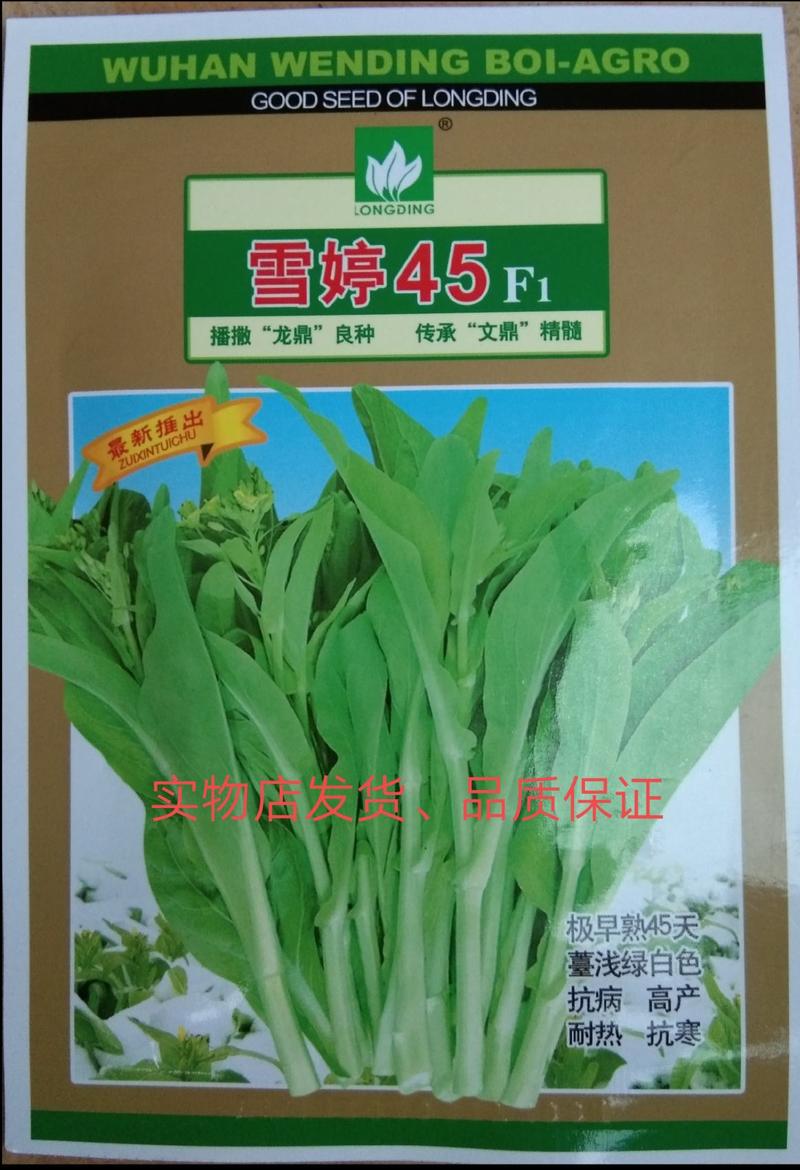 10克极早熟无蜡粉雪婷45F1白菜苔种子