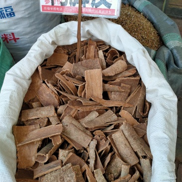 中药材新鸭脚木皮鸭脚板鸭脚皮
