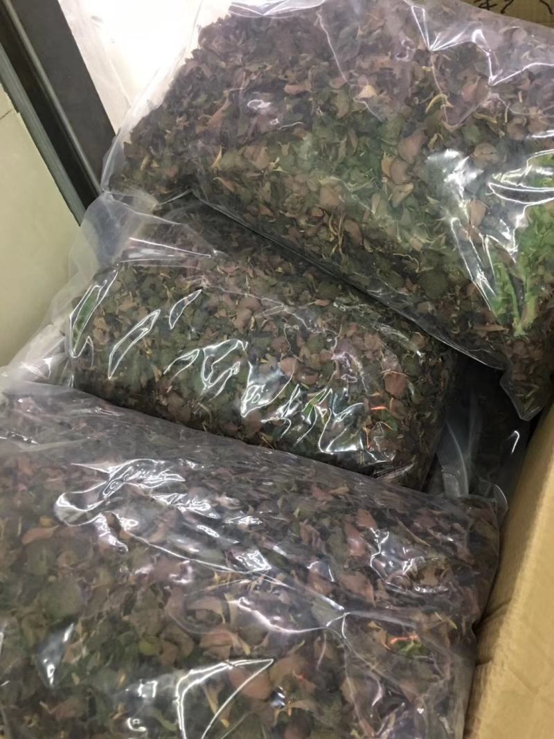 金线莲干品红霞特级大货批发，货源充足，质量保证