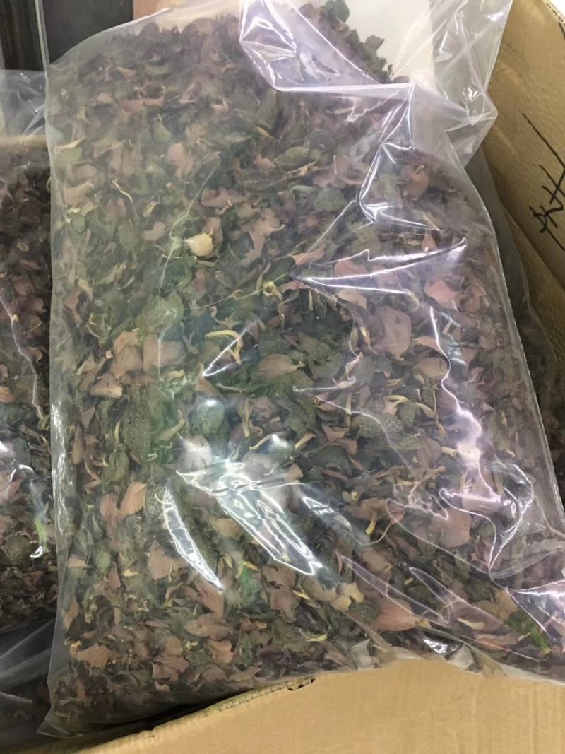 金线莲干品红霞特级大货批发，货源充足，质量保证