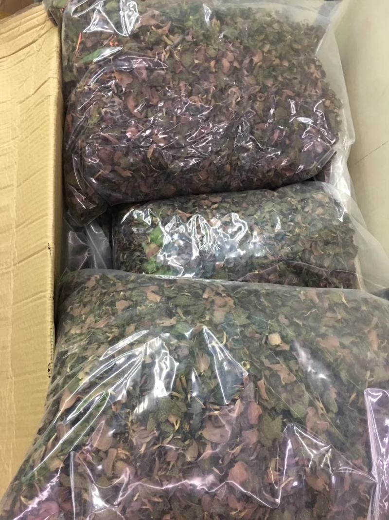 金线莲干品红霞特级大货批发，货源充足，质量保证