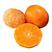 砂糖桔树苗优质嫁接橘子树苗适合各地种植基地直发量大从优