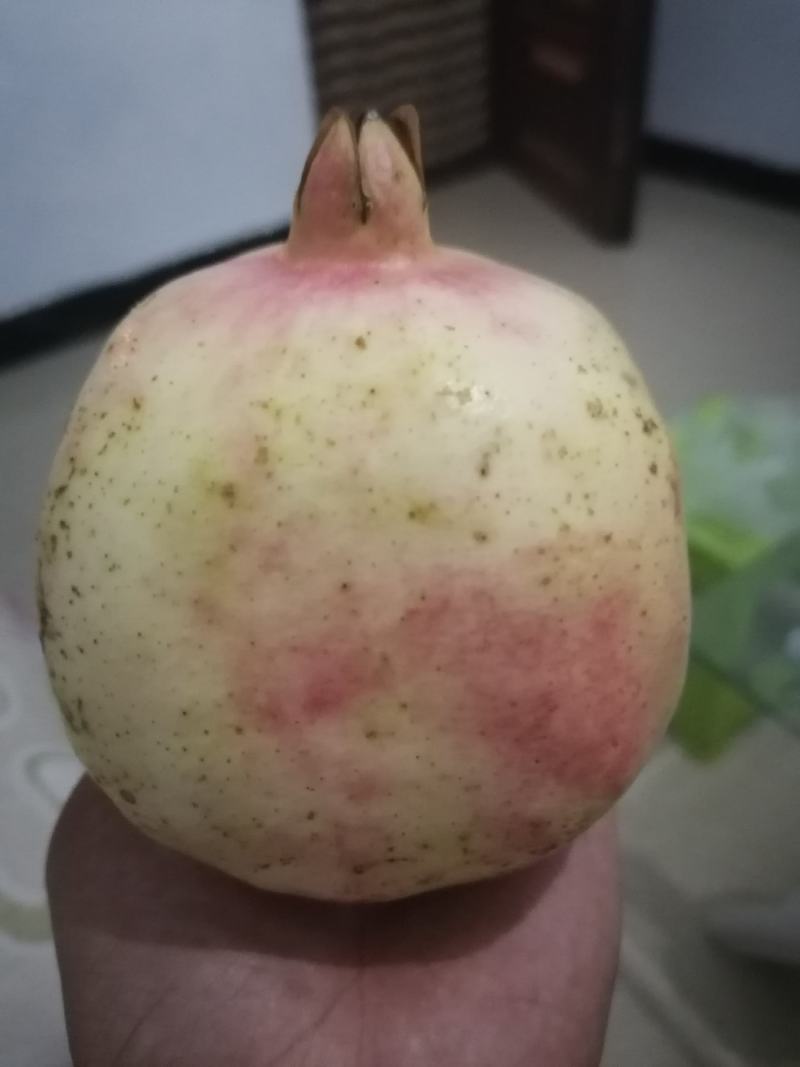 【云南蒙自薄皮绿籽石榴】个个精品粒大皮薄果大多汁
