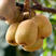 绿心猕猴桃优质嫁接猕猴桃树苗皮薄肉多适合各地种植