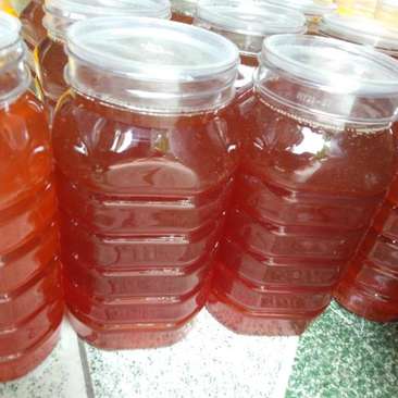 新疆土蜂蜜纯蜂蜜，不加工