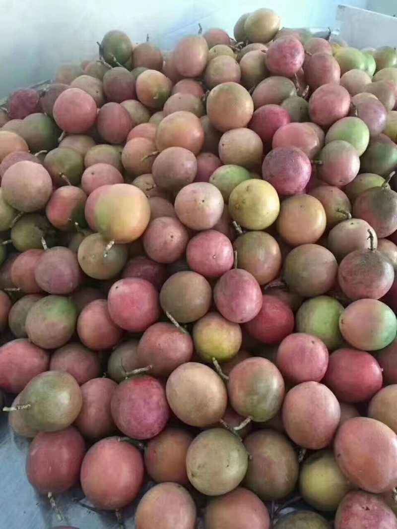 广西百香果肉百香果酱百香果汁奶茶店专用纯手工现挖