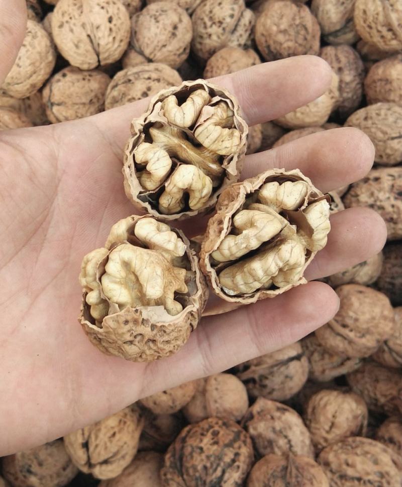 云南核桃，薄皮核桃，30mm以上一级核桃，老树核桃