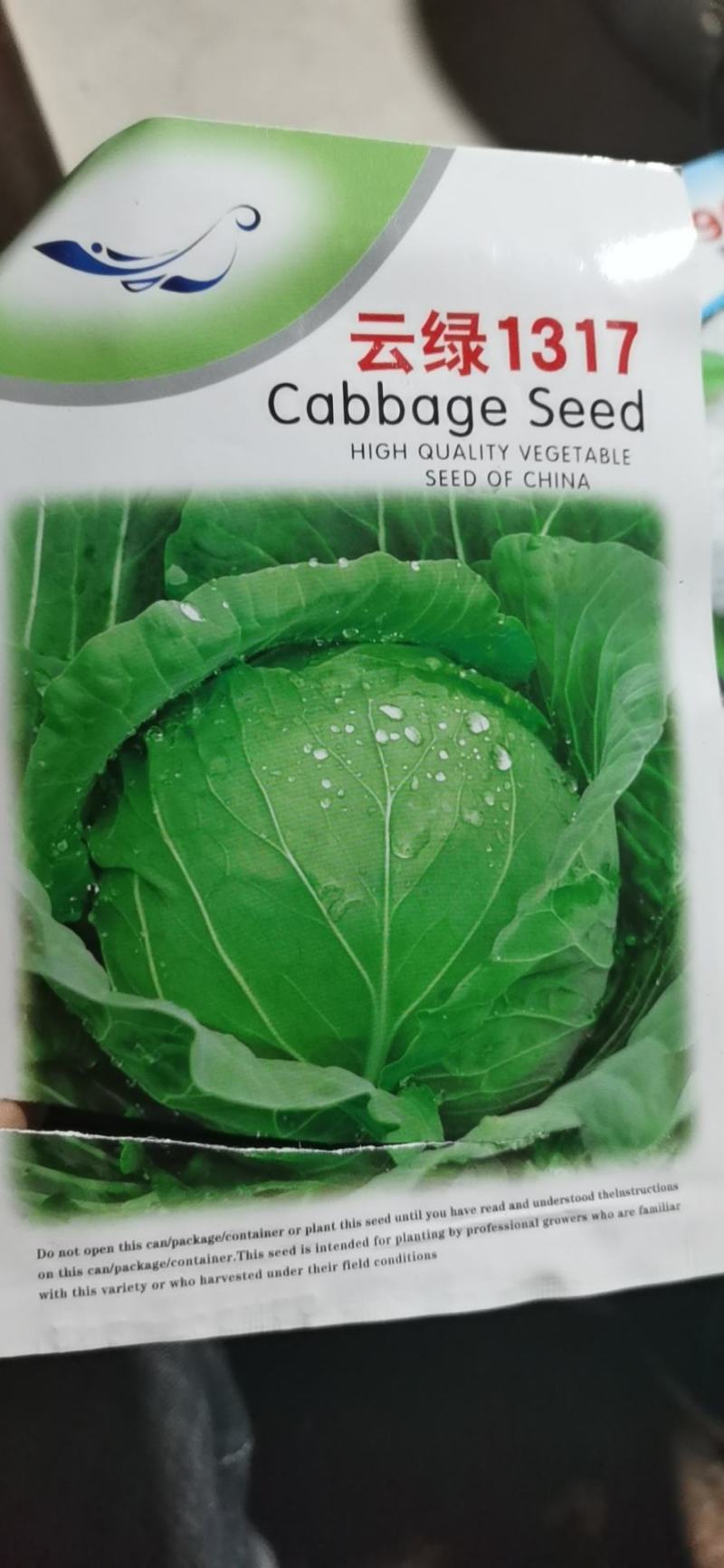 甘蓝苗圆包菜苗基地一手货源，苗子粗壮，根须发达，成活率高