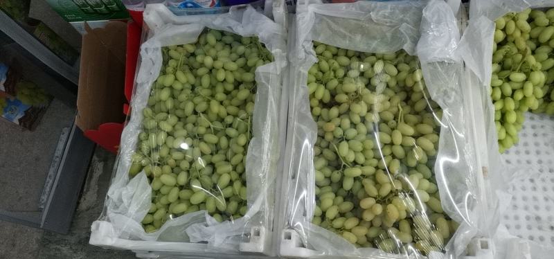 牛奶葡萄，香甜可口，质量保证，欢迎大家选购