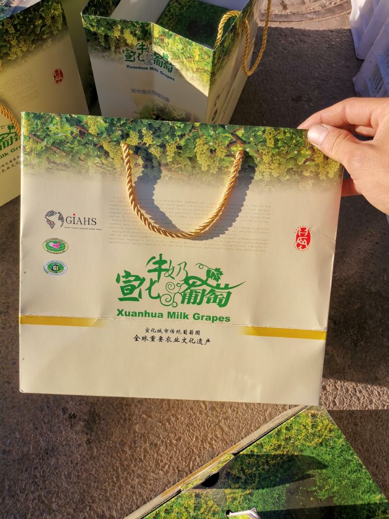 牛奶葡萄，香甜可口，质量保证，欢迎大家选购
