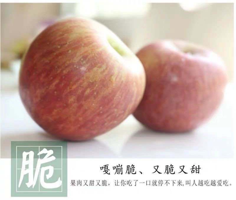 苹果丑苹果苹果野生苹果3斤5斤/9斤包邮