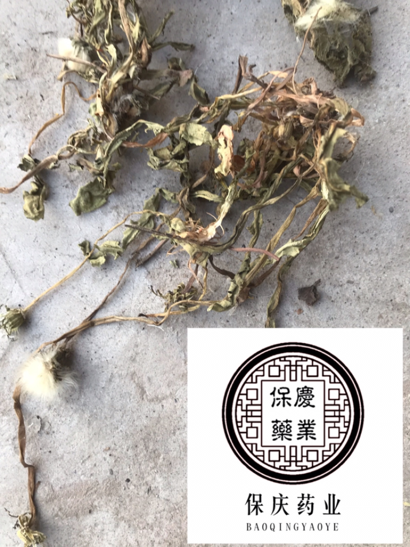 蒲公英蒲公英片整颗带根蒲公英婆婆丁蒲公英个新货