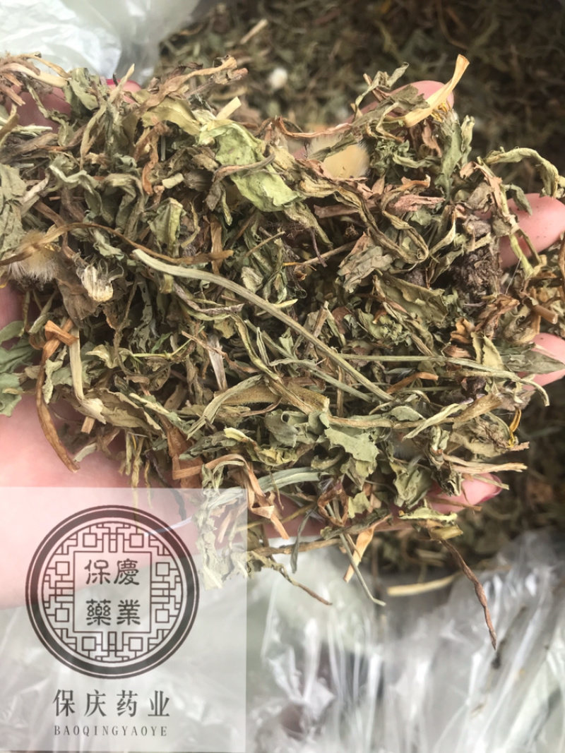 蒲公英蒲公英片整颗带根蒲公英婆婆丁蒲公英个新货