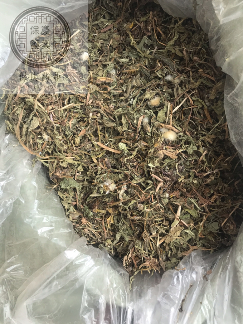 蒲公英蒲公英片整颗带根蒲公英婆婆丁蒲公英个新货