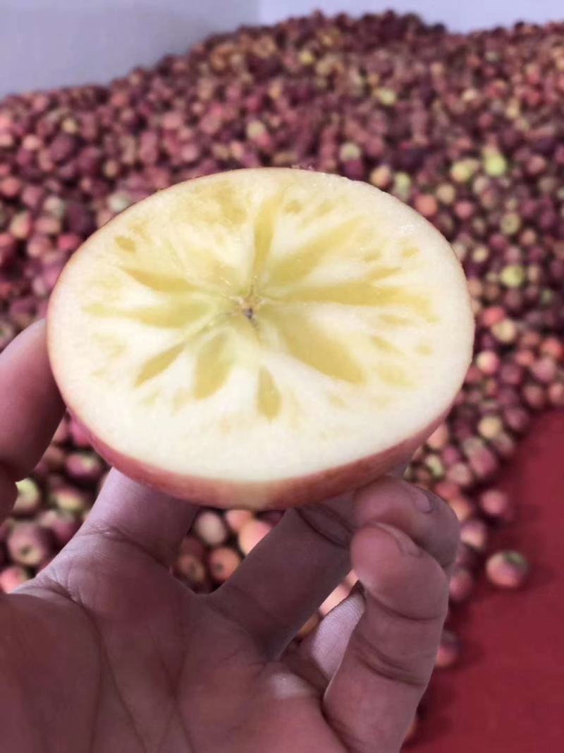 云南昭通新鲜苹冰糖心丑大量上市欢迎老板咨询，