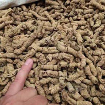 巴戟天一手本店所有商品都是正品中药，保质保量