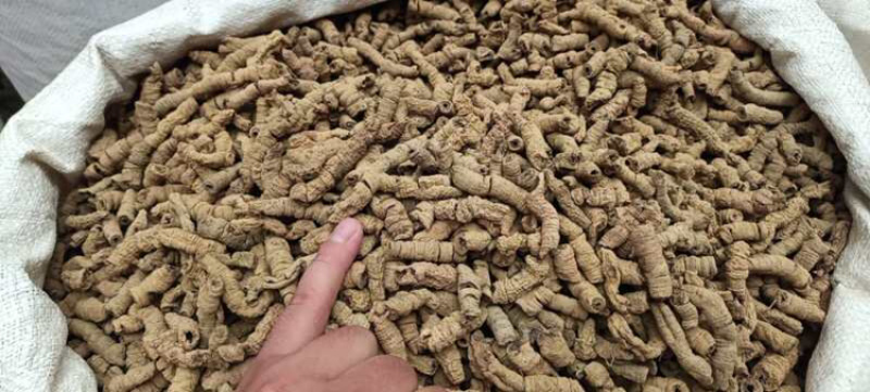 巴戟天一手本店所有商品都是正品中药，保质保量