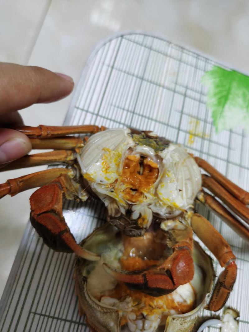 批发零售野生大河蟹！