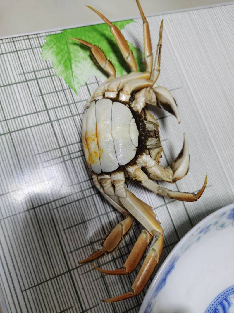 批发零售野生大河蟹！