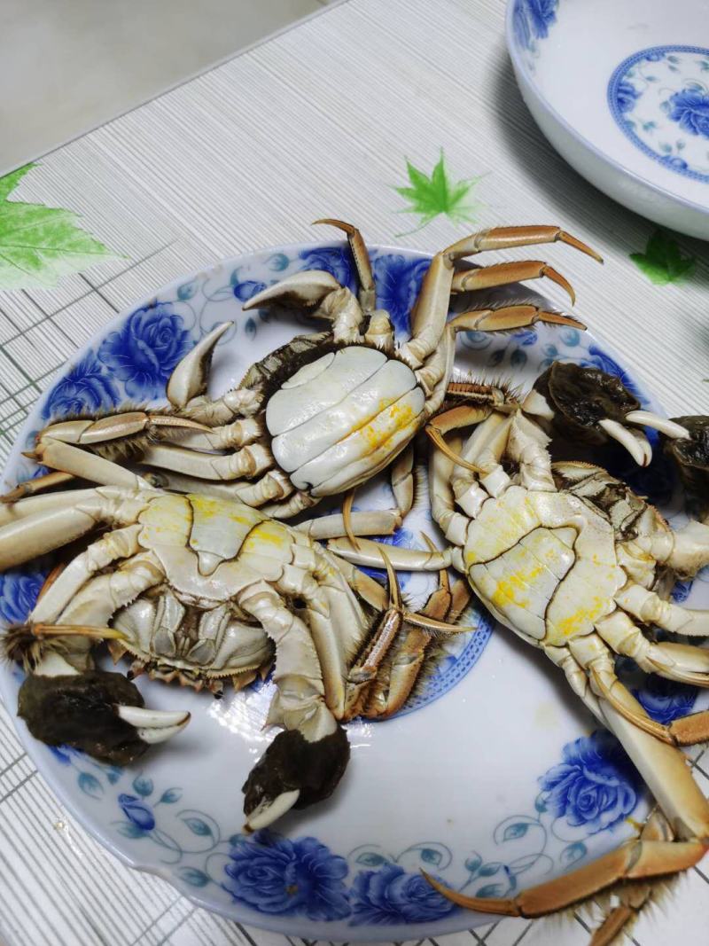 批发零售野生大河蟹！