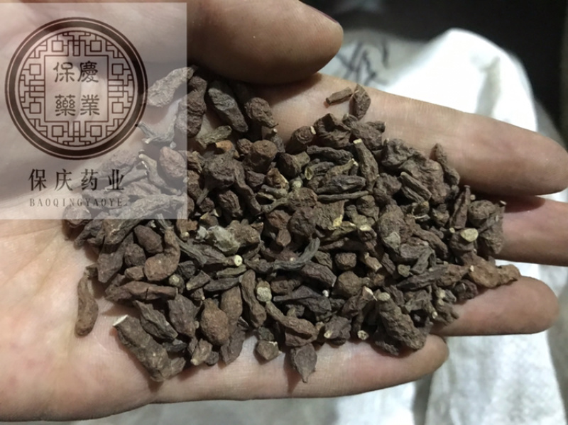 蕨麻厥麻保庆药业批发蕨麻