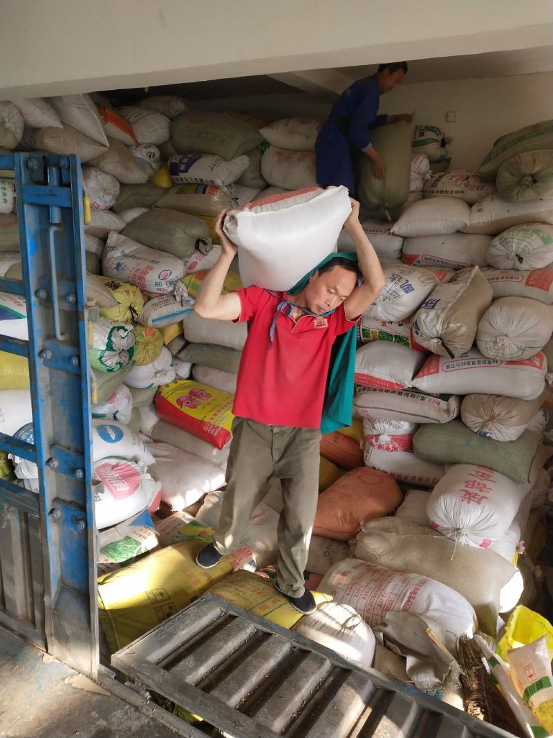 粮油作物稻谷油菜本地货水分杂质不超标、重金属不超标，