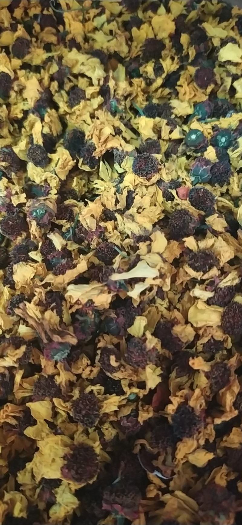 高品质昆仑雪菊精选优质量大从优
