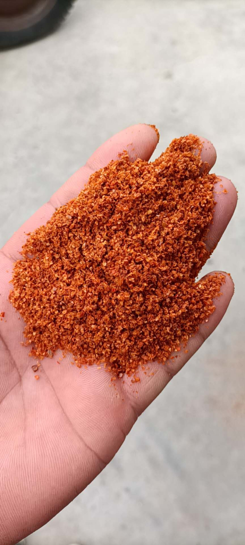🔥精品河南辣椒面油炒辣椒面中粗细粉规格全味足浓香