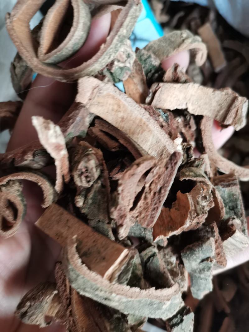 中药材土荆皮无硫熏干净无杂实拍图一公斤起发货