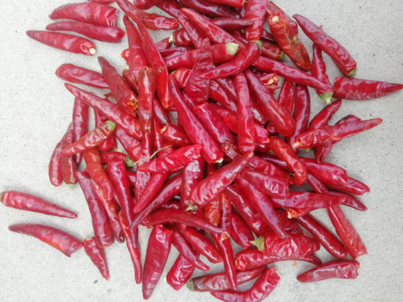 【热销爆款】辣椒面辣椒油炒面货量充足质量保证只做好辣椒